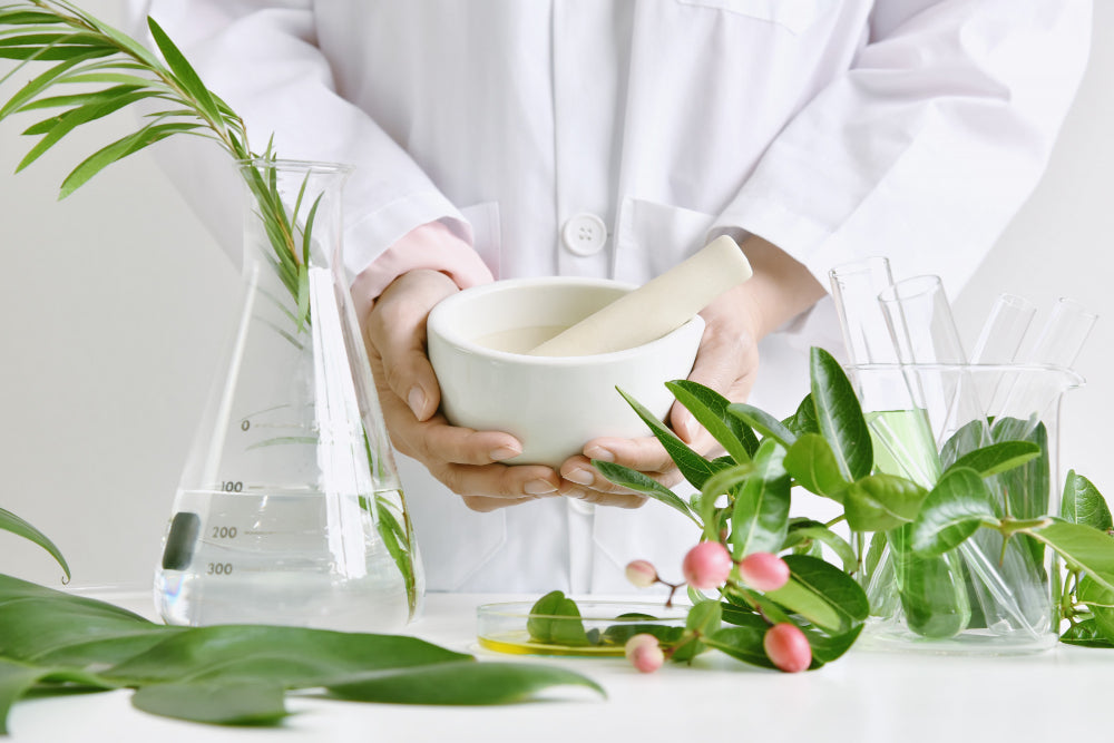Ayurveda and the Intelligence of the Senses